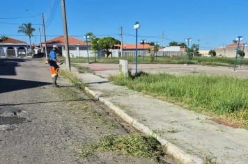 Serviços de limpeza e roçada