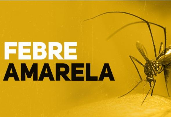Vacine-se contra a febre amarela antes do caminho da fé