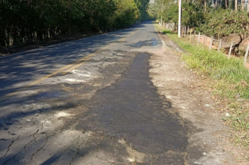 Foto - Tapa-buracos na Estrada do Porto